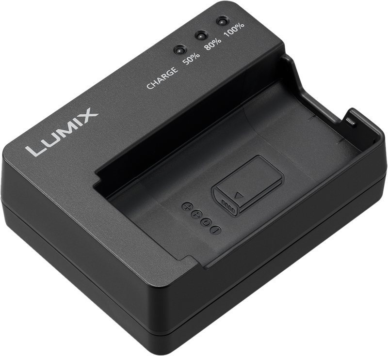 Charger for the Panasonic DMW-BLJ31 battery used in the Lumix S1 and S1R.