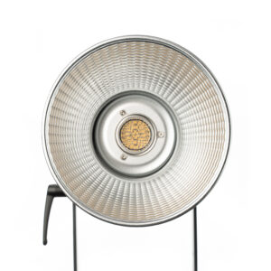 APUTURE Light Storm 300x kit (V-mount)