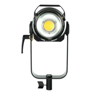 APUTURE Light Storm C300d MKII kit (V-mount)