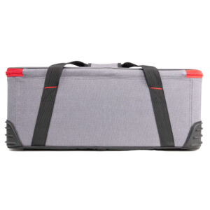 APUTURE Light Storm C300d MKII kit (V-mount)