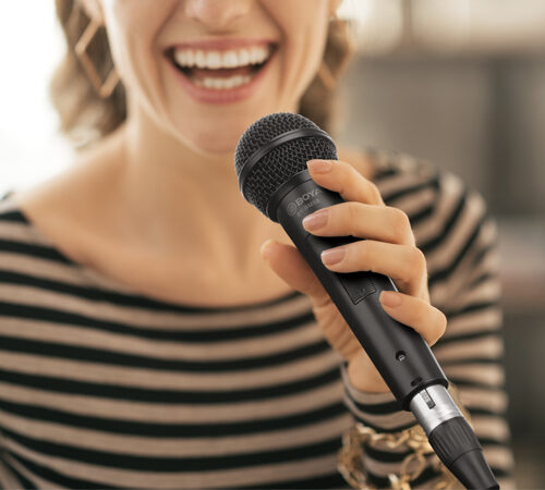 BOYA BY-BM58 cardioid dynamic vocal microphone
