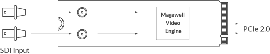 MAGEWELL Eco Capture Dual SDI M.2 - 11530