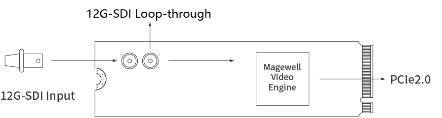 MAGEWELL Eco Capture SDI 4K Plus M.2 - 11560