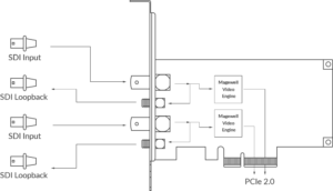 MAGEWELL Pro Capture Dual SDI - 11060