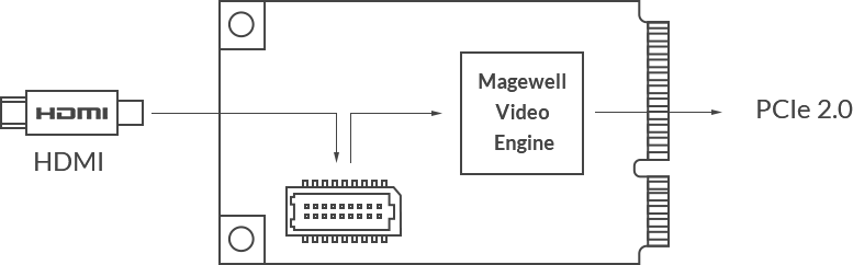 MAGEWELL Pro Capture Mini HDMI - 11110
