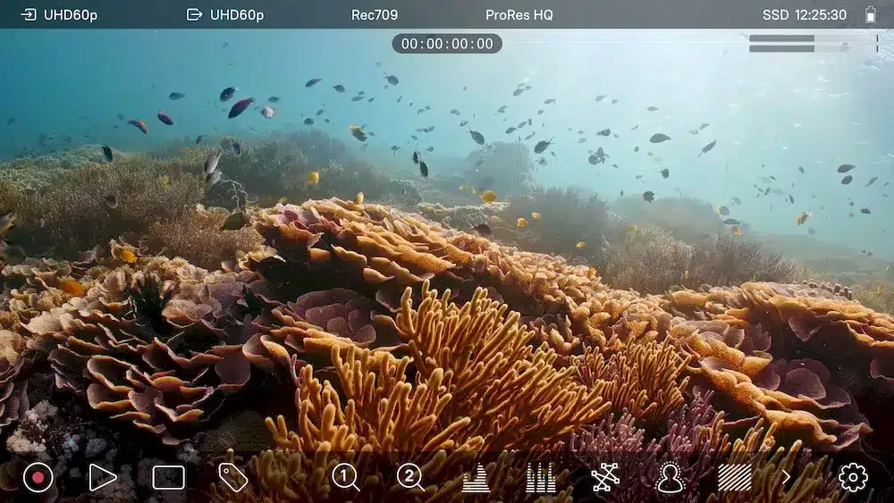 5" ATOMOS Ninja monitor-recorder
