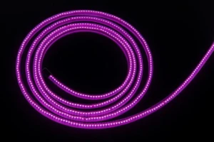 ATOMOS Sun Dragon rope light