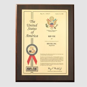 1" x 6" RIP-TIE CableCarrier with Black Carabiner, 2 Pack, BLACK