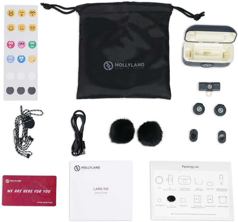 HOLLYLAND Lark M2 USB-C - Wireless Lavalier Microphone with USB-C Plug (Duo, Shine Charcoal)