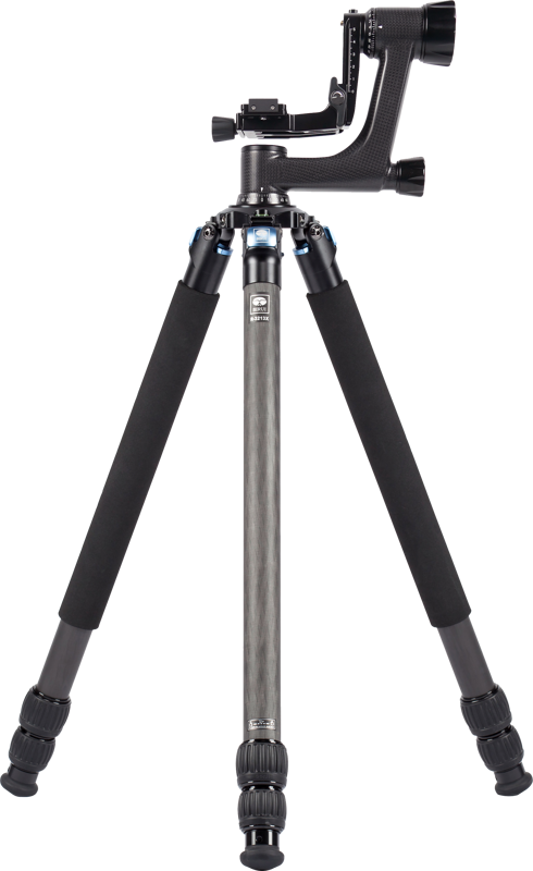 A supersteady tripod including a professional gimbal head