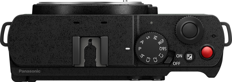 PANASONIC Lumix S9 Body Dark Olive