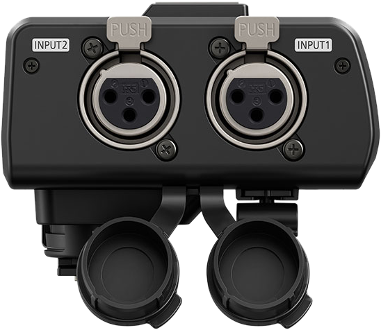 With the DMW-XLR1 and a connected XLR (2-channel) microphone