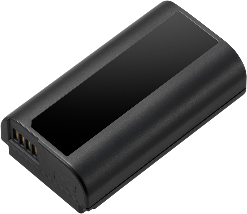 PANASONIC Battery for S1 Series