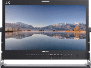 21.5" SEETEC P215-9HSD Monitor