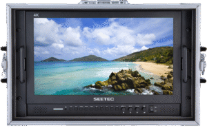 17.3" SEETEC P173-9HSD-CO Carry-on Monitor