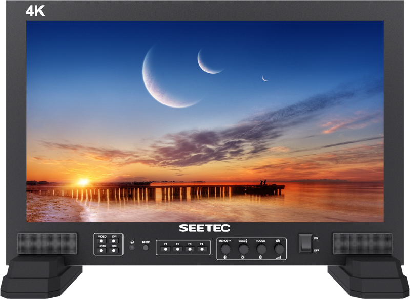17.3" SEETEC FS173-S4K-CO Monitor