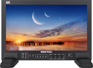17.3" SEETEC FS173-S4K-CO Monitor