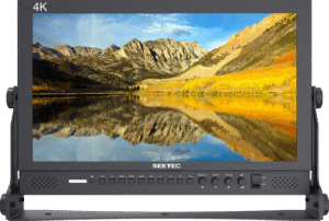 17.3" SEETEC P173-9HSD Monitor