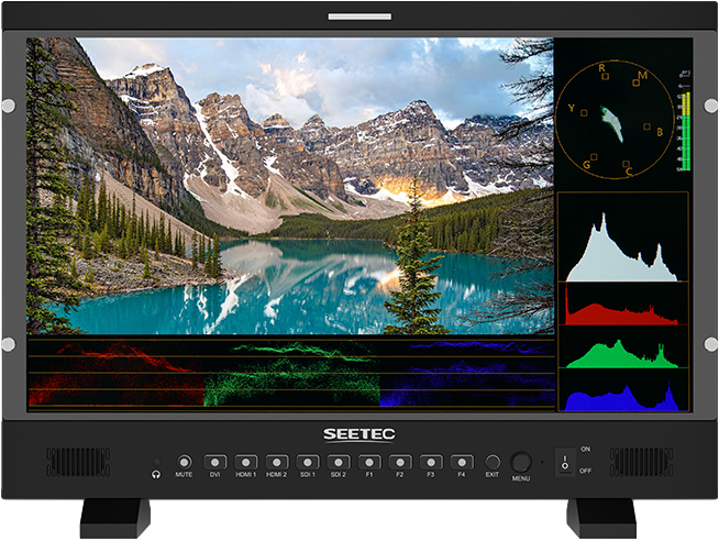 DC IN power input and V-mount battery plate so you can use it with battery or plug it into DC power. A series of camera auxiliary functions can help photographer to compose on-site and save post production time. This monitor can be mounted on wall through a VESA mount points in addition to a desktop stand.