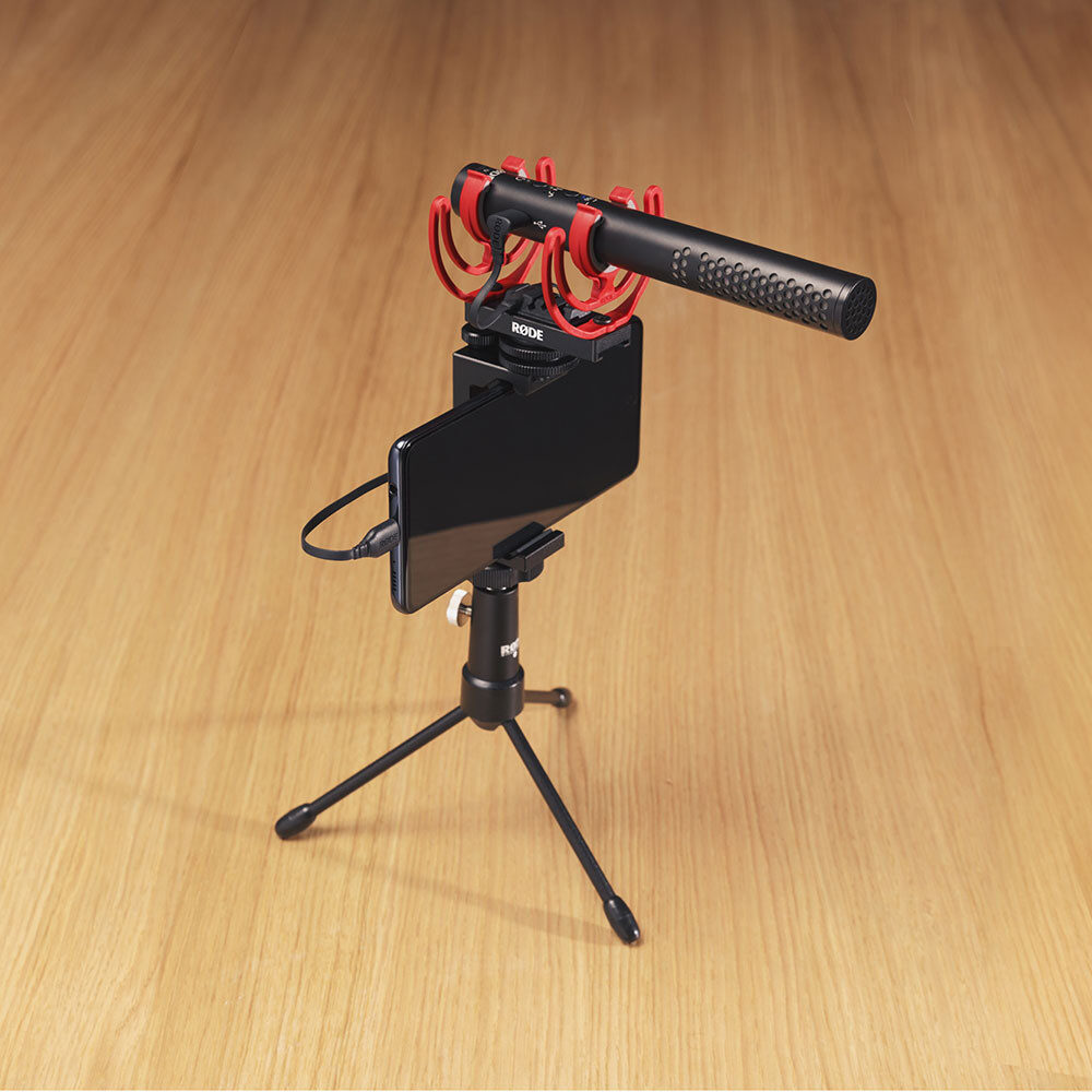 <li>Length: 30 cm</li>