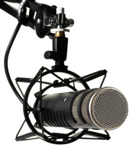 <li>Professional microphone</li>