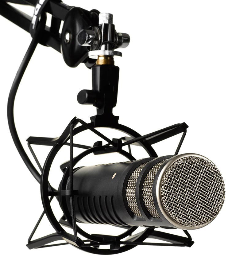 <li>Professional microphone</li>