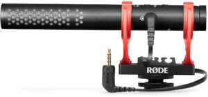 <li>High-quality shotgun microphone</li>
