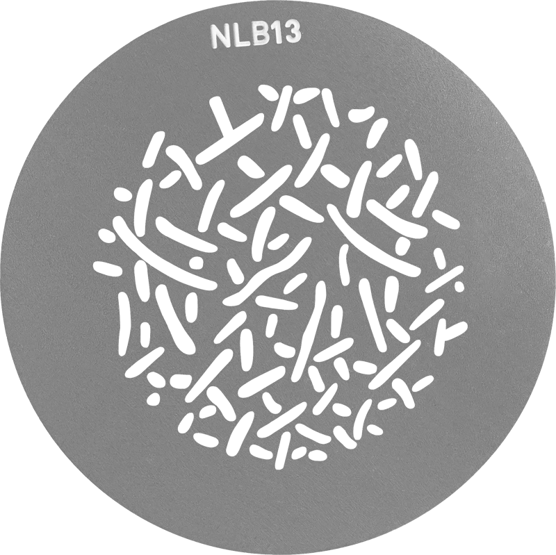 NANLITE GOBO Set 1 for PJ-BM