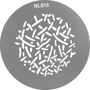 NANLITE GOBO Set 1 for PJ-BM