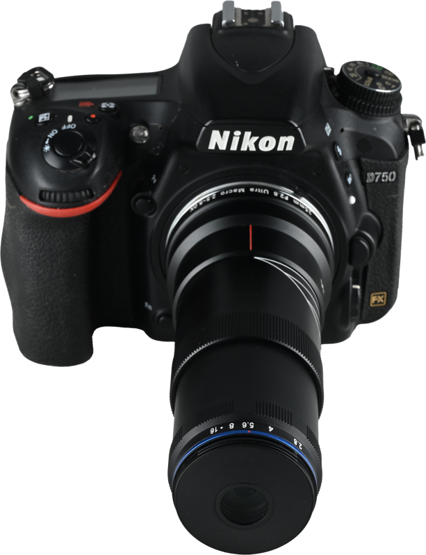 it opens up exciting new dimensions in macro photography.