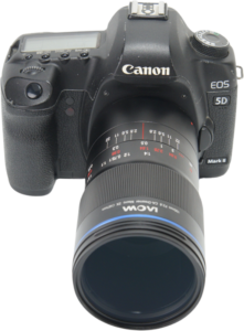 and other tiny subjects