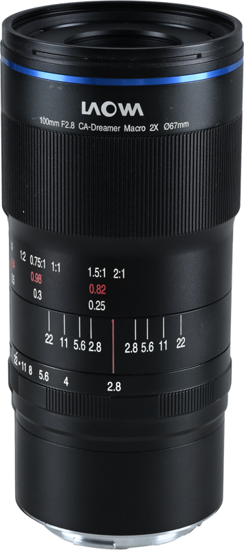 this lens is ideal for capturing incredibly detailed macro shots of insects