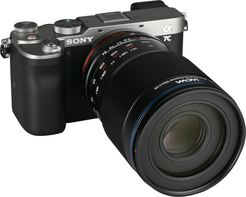 this lens excels at detailed macro photography