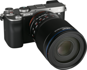 this lens excels at detailed macro photography