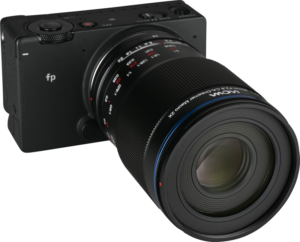 this lens excels at detailed macro photography