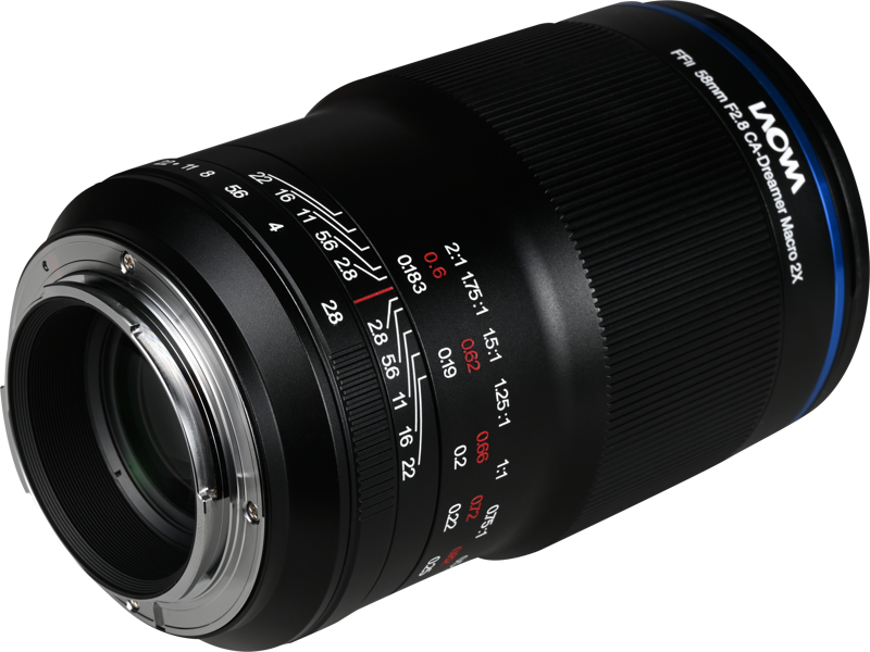 and everyday subjects