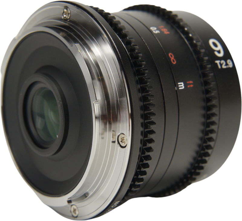 and immersive storytelling