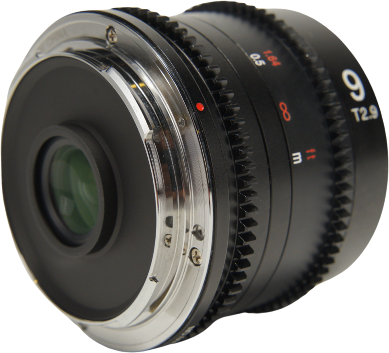 and immersive storytelling