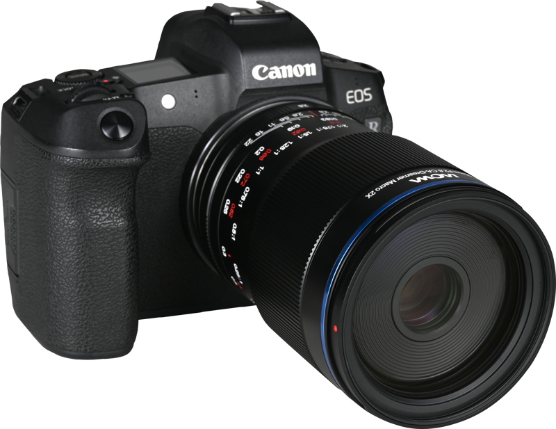 the lens is equally effective for macro photography