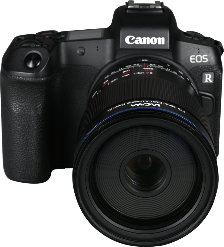 and everyday subjects