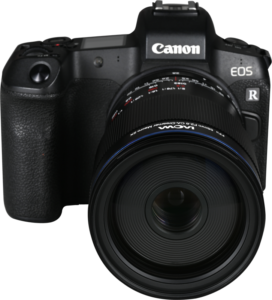 and everyday subjects