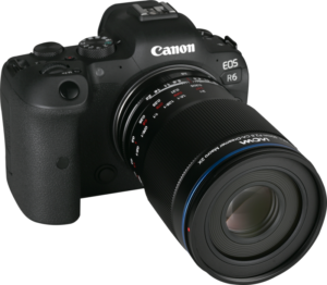 this lens excels at detailed macro photography