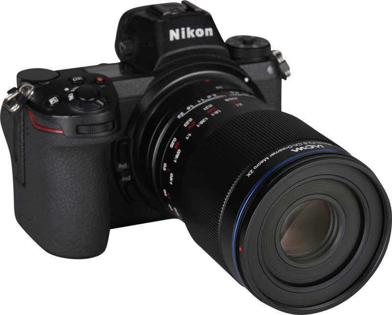 this lens excels at detailed macro photography