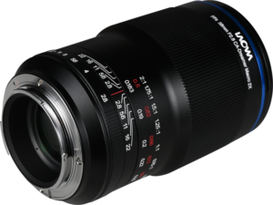 and everyday subjects