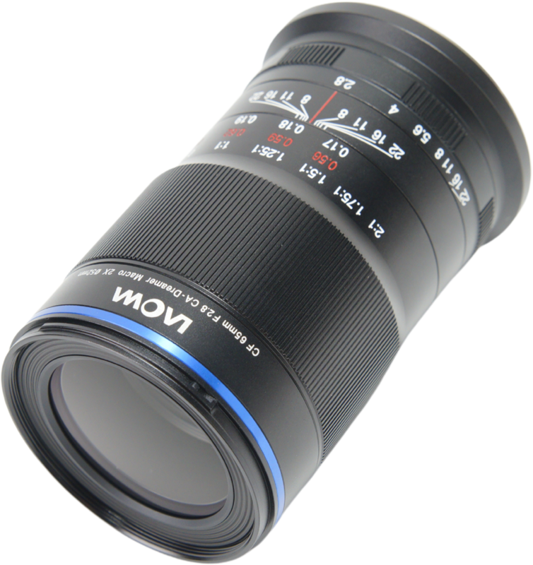 ideal for close-up shots of insects