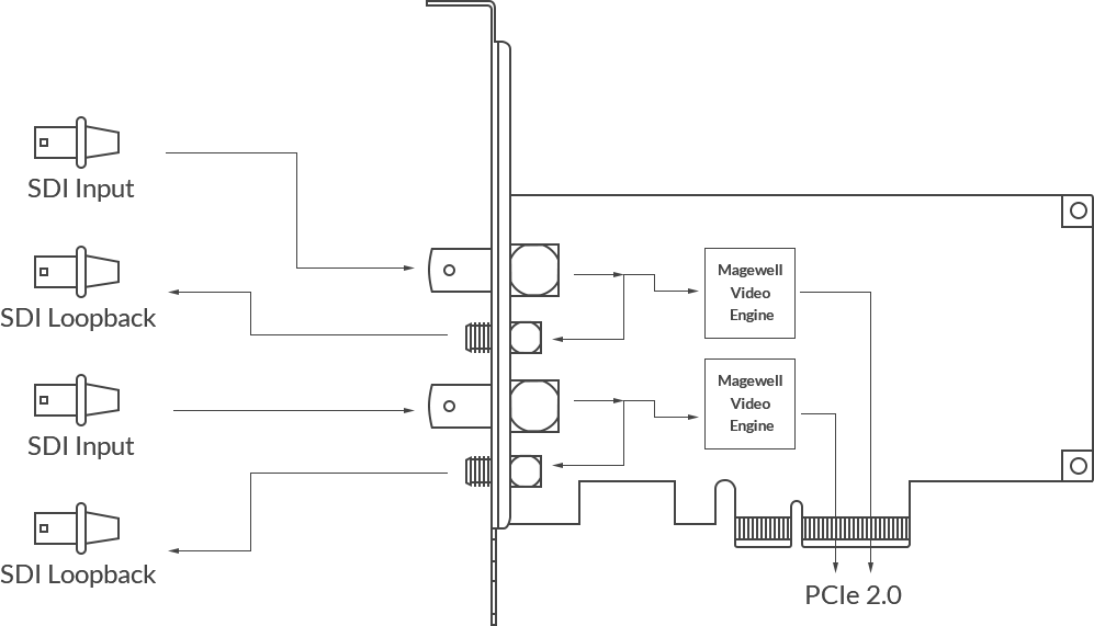 MAGEWELL Pro Capture Dual SDI - 11060