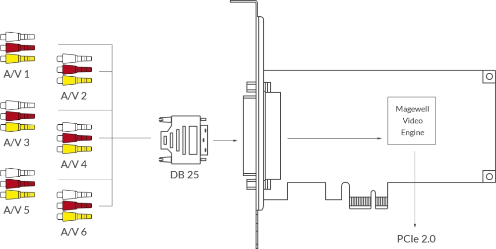 MAGEWELL Pro Capture Hexa CVBS - 11250