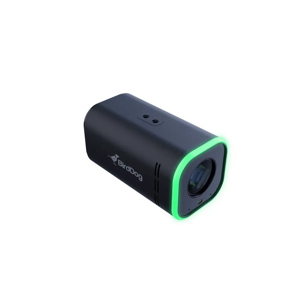 BIRDDOG MAKI Ultra - NDI HX3 4K Box Camera